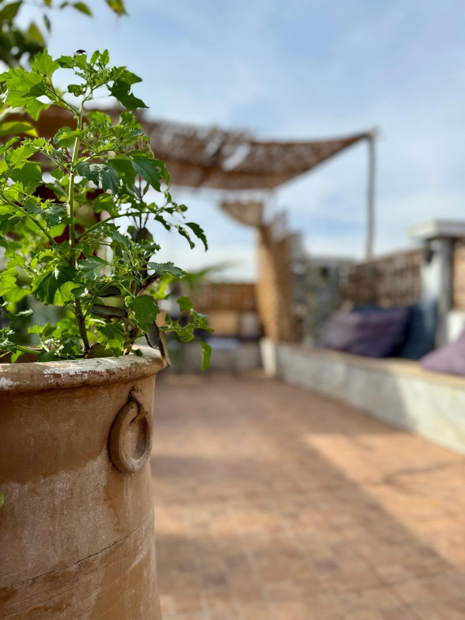 Riad Flottement Des Songes Marrakesh Esterno foto